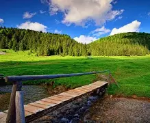 Bihor