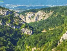 Cheile Crișului Repede