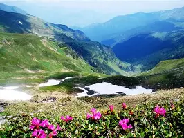 Munții Rodnei
