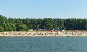 Balta Borcea