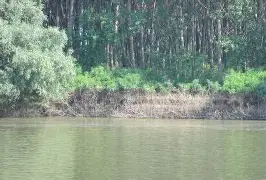 Lacul Gălățui