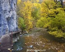 Cheile Vârghișului