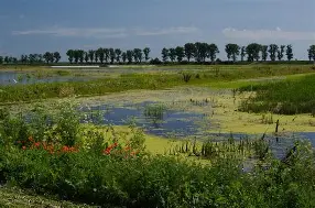 Parcul Natural Comana