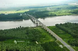 Podul Giurgeni–Vadu Oii