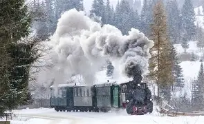 Mocănița Vișeu de Sus