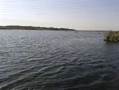 Parcul Natural Balta Drăgănești