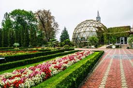 Parcul Dendrologic Jibou