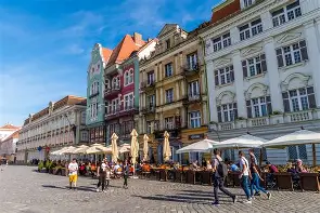 Timiș